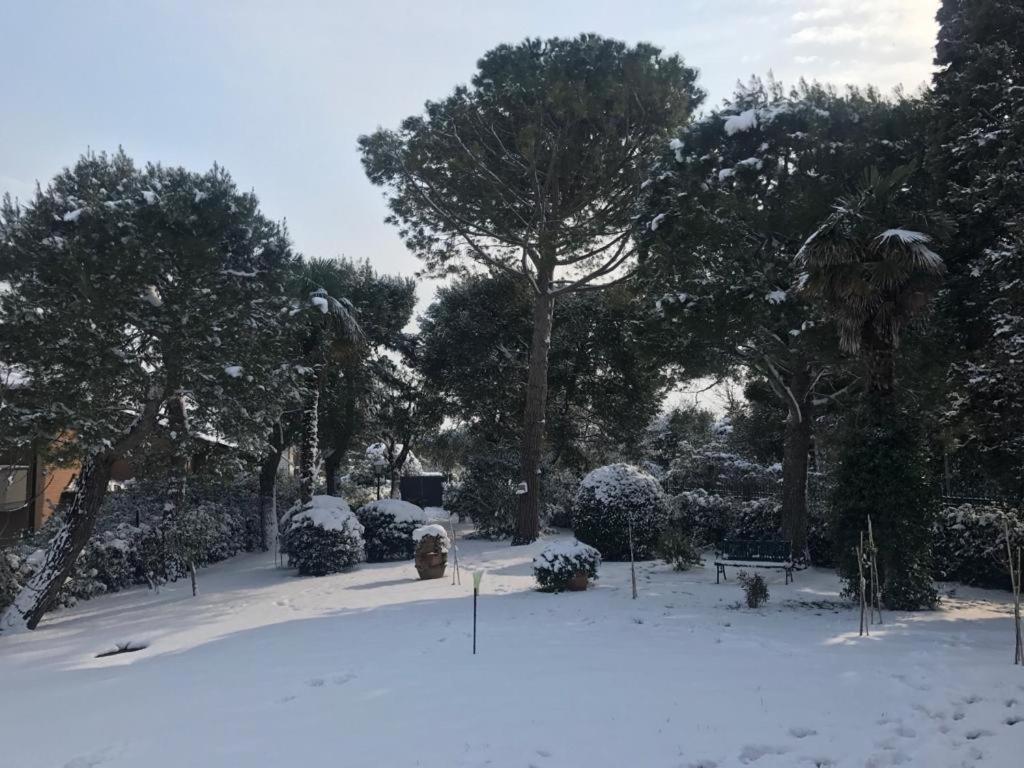 Ilpoggetto Bed&Breakfast Civitanova Marche Bagian luar foto